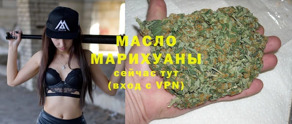 гидра Каменка
